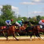 A stock image of some horses racing