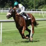 A jockey racing a horse around a track.