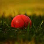 Cricket ball on the grass.