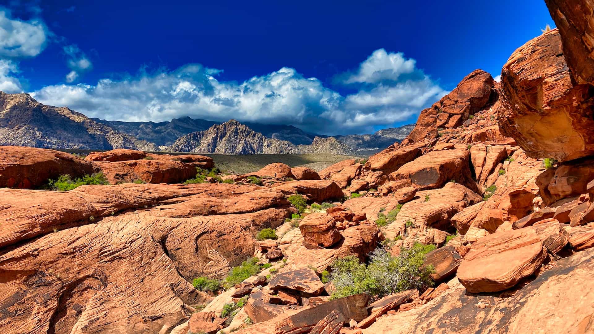 The rocky side of a mountain in the middle of the arid Nevada desert, dotted with cacti and greenery, with further mountains off in the distance.