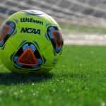 The FIFA trophy next to a soccer ball on a soccer field.