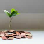 A small green plant sprouting out of a pile of coins.